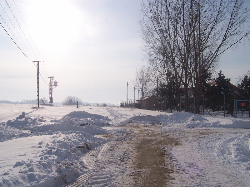 2012.02.09. 019.jpg